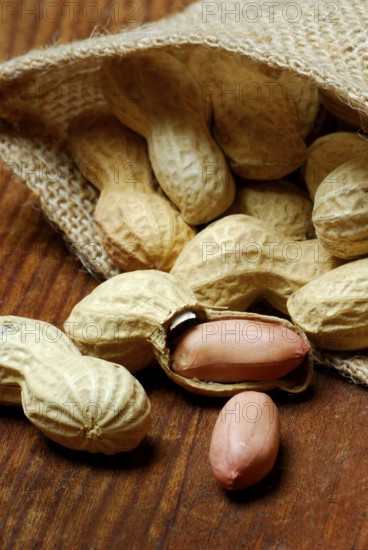 Peanuts or groundnuts (Arachis hypogaea)