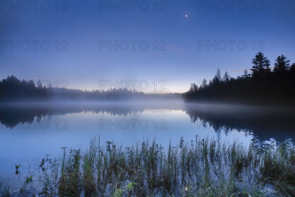 Crescent moon over the mirror-smooth mire lake Étang de la Gruère in the canton of Jura, Switzerland, Europe