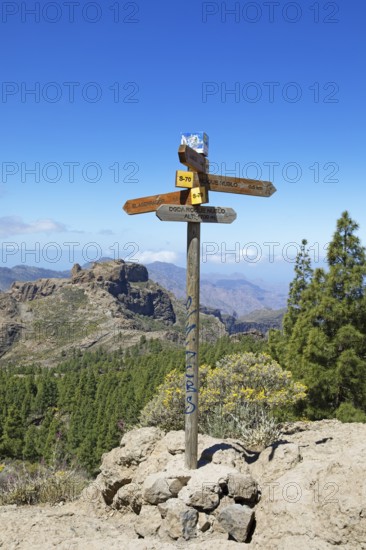 Signpost in Parque Rural del Nublo, Las Palmas Province, Gran Canaria, Canary Islands, Spain, Europe