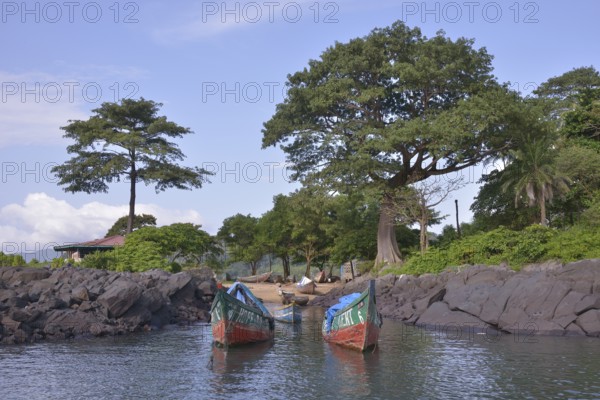 Colourful fishing boats, near Kent, Western Area, Sierra Leone, Africa