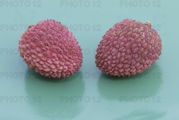 Lychee-Fruit (Litchi chinensis)