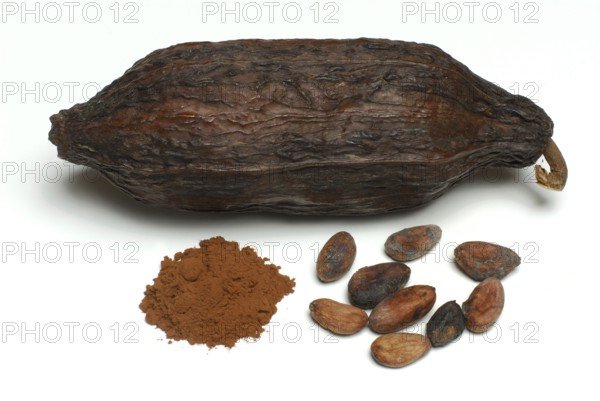 Cocoa fruit with cocoa beans and cocoa powder (Theobroma cacao) , cocoa, cocoa bean