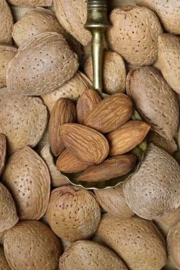 Almond kernels in spoon and almonds. (Prunus dulcis)