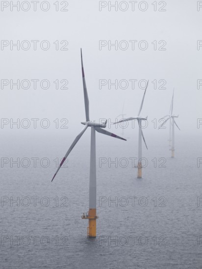 Offshore wind farm Baltic 1, wind turbine, windmill, windmills, wind turbines, Mecklenburg-Vorpommern, Germany, Europe