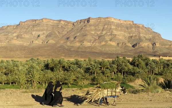 Morocco, Draa Valley, Africa