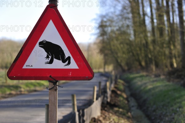 Warning sign for migrating amphibians/toads crossing the road during the annual spring migration, Belgium, Europe