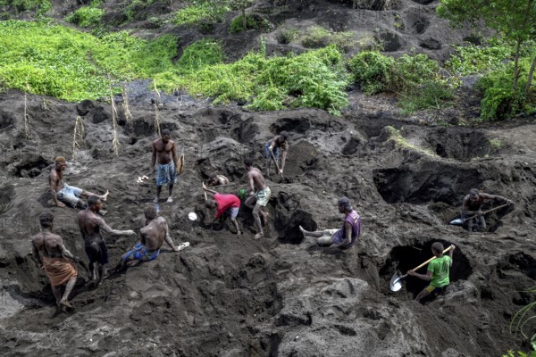 Egg collectors dig at the foot of the still active volcano Mount Tavurvur for eggs of Melanesian Scrubfowl (Megapodius eremita), Rabaul, East New Britain, Bismarck Archipelago, Papua New Guinea, Oceania