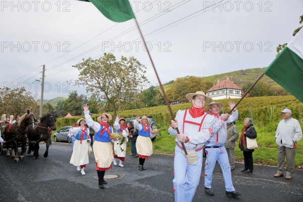 The Saxon Winegrowers' Procession 2011