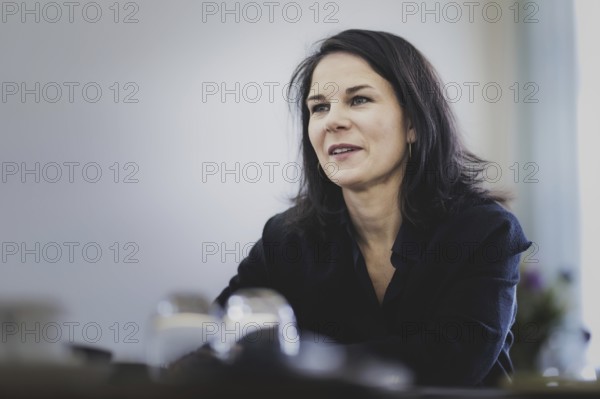 Annalena Bärbock (Alliance 90/The Greens), Federal Foreign Minister, recorded during an interview in Berlin, 01/02/2024