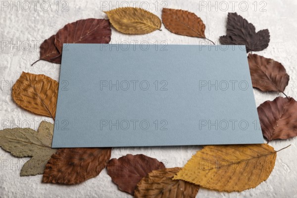 Blue paper business card with yellow and brown autumn leaves, mockup on gray concrete background. Blank, side view, still life, copy space