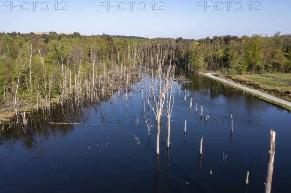 The nature reserve Kirchheller Heide, the Pfingstsee, created by subsidence caused by coal mining, near Bottrop, North Rhine-Westphalia, Germany, Europe