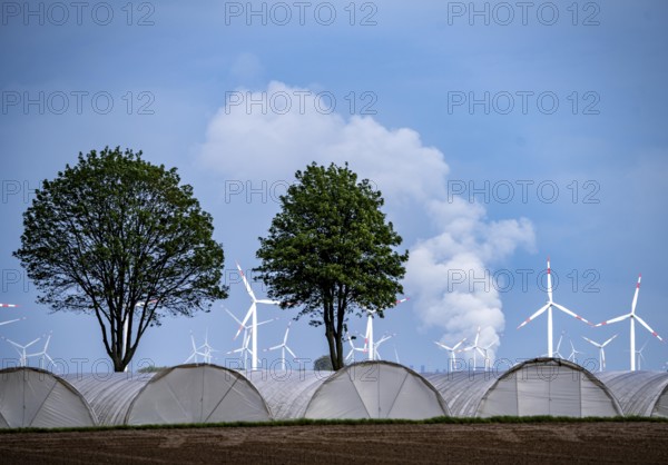 Agriculture, large areas with foil tunnels, for growing strawberries, south of Lövenich, belongs to Erkelenz, in the district of Heinsberg, wind farm, Neurath lignite-fired power station, North Rhine-Westphalia, Germany, Europe