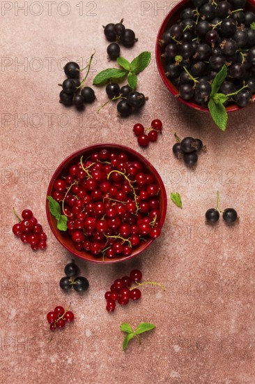 Berries, fresh, red currant, and black gooseberry, in bowls, top view, no people