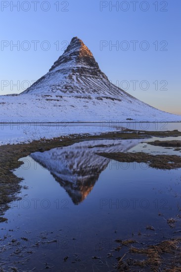 Pointed mountain reflected in fjord at low tide, snow, winter, morning light, Kirkjufell, Snaefellsnes, Iceland, Europe