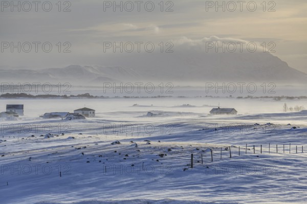 Houses in a snowstorm in front of mountains, windy, sunny, backlight, Myvatn, Iceland, Europe