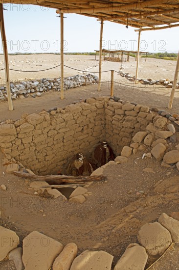 Skeletons in an open grave, Chauchilla burial ground or desert cemetery, Ica region, Nazca province, Peru, South America