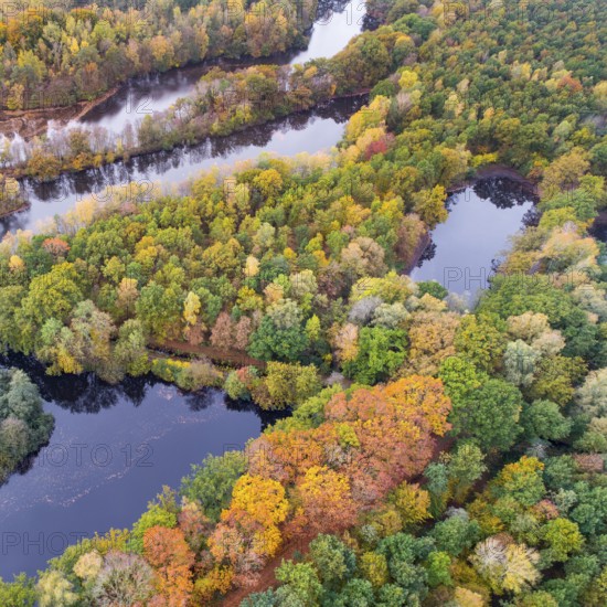 Mixed forest in autumn, colouring, aerial view, forest, autumnal, Ahlhorn fish ponds, Niedersächsische Landesforst, Ahlhorn, Lower Saxony, Germany, Europe