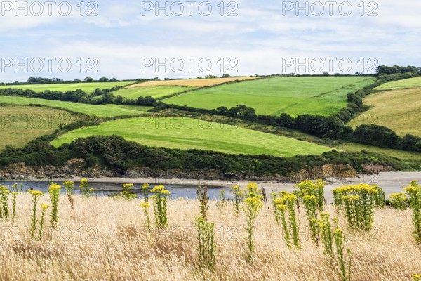 Fields and Farms over Mothecombe Beach, Mothecombe, River Emme and Red Cove, Plymouth, South Devon, England, United Kingdom, Europe