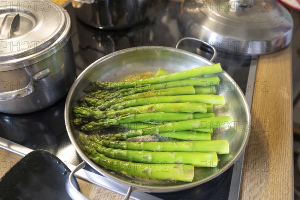 Preparation of green asparagus (Asparagus officinalis) in the pan, Bavaria, Germany, Europe