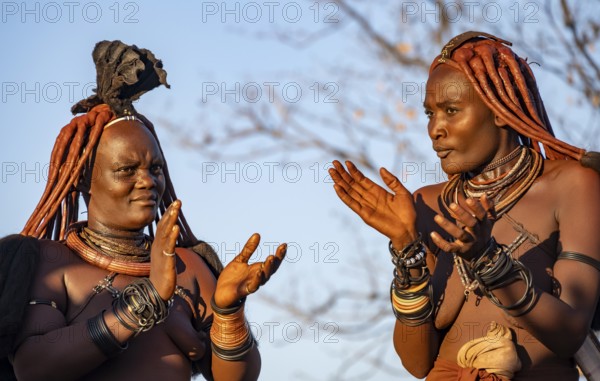 Traditional Himba woman clapping, music and dance, portraits, in the evening light, near Opuwo, Kaokoveld, Kunene, Namibia, Africa