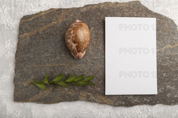 White paper business card, mockup with natural stone, seashell and boxwood branch on gray concrete background. Blank, flat lay, top view, still life, canvas, copy space