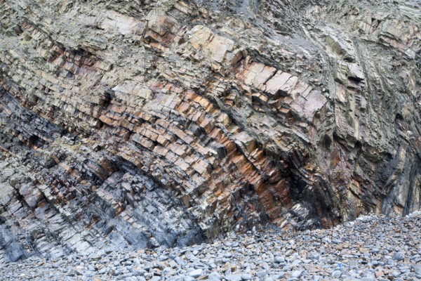 Complex folding of sedimentary rock strata in coastal cliffs at Hartland Quay, north Devon, England, United Kingdom, Europe