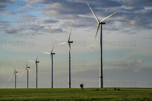 RWE wind farm near Bedburg, at the Garzweiler opencast mine, on recultivated part of the opencast lignite mine, Nordex N163 wind turbine, North Rhine-Westphalia, Germany, Europe