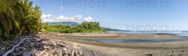 Sandy beach beach with palm trees by the sea, Playa Uvita, Pacific coast, Parque Nacional Marino Ballena, Puntarenas province, Costa Rica, Central America