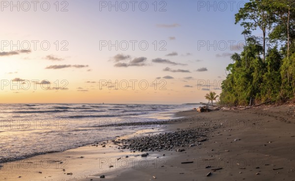 Coastal landscape at sunset, sandy beach with sea and rainforest, Corcovado National Park, Osa, Puntarena Province, Costa Rica, Central America