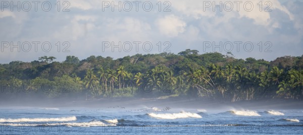 Coastal landscape, sea and sandy beach with rainforest, Corcovado National Park, Osa Peninsula, Puntarena Province, Costa Rica, Central America