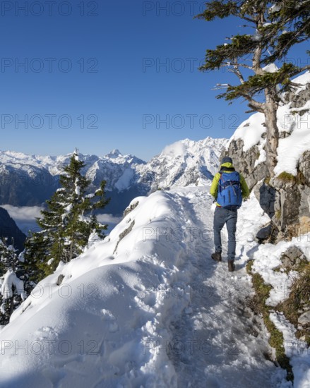 Mountaineers on the way to the Jenner summit with snow, snowy mountain panorama with Watzmann massif, Berchtesgaden National Park, Berchtesgaden Alps, Schönau am Königssee, Berchtesgadener Land, Bavaria, Germany, Europe