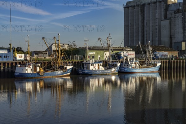 Cutter in the harbour in Husum, Nordfriesland district, Schleswig-Holstein, Germany, Europe