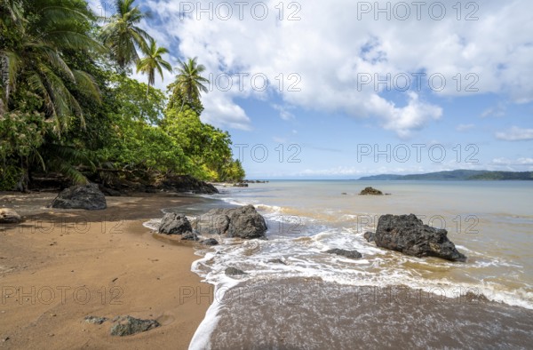 Tropical beach, South Pacific, Osa Peninsula, Punterenas Province, Costa Rica, Central America