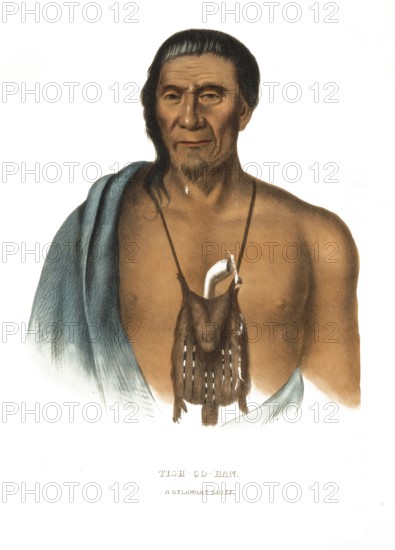 American Indian, Native American, Tish-Co-Han, Chief of the Delaware Tribe, United States of America, USA, Painting by Charles Bird King (1785, 1862), c. 1840, Historic, digitally restored reproduction from a 19th century original, Record date not stated, North America