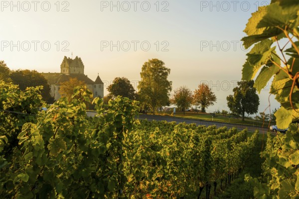 Meersburg Castle, Old Castle, Sunrise, Meersburg, Lake Constance, Baden-Württemberg, Germany, Europe