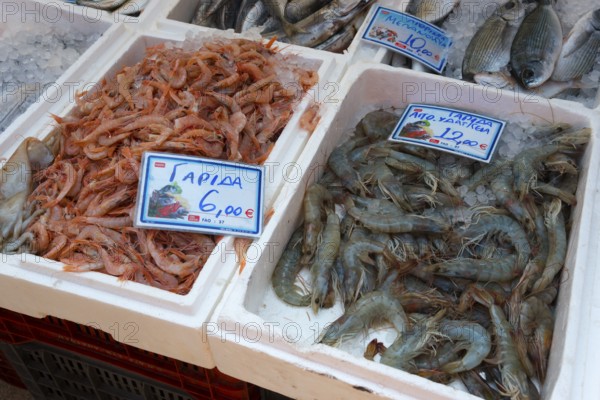 Detailed view of fresh prawns at a fish market. They are displayed in white crates with price tags, Market, Nafplio, Nafplio, Nafplion, Argolis, Peloponnese, Greece, Europe