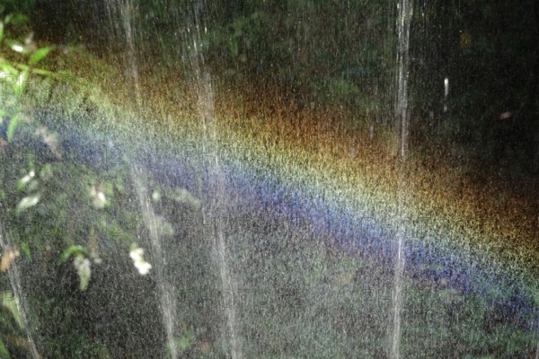 Small rainbow during watering, September, Germany, Europe