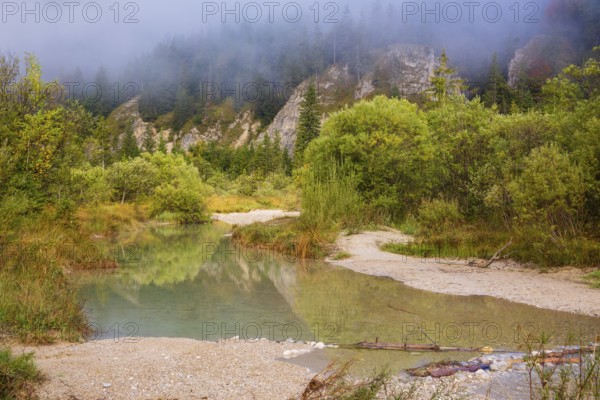 Isar valley nature conservancy area. The wild Isar river flows through its gravel bed past driftwood and entrained trees and bushes . Early morning