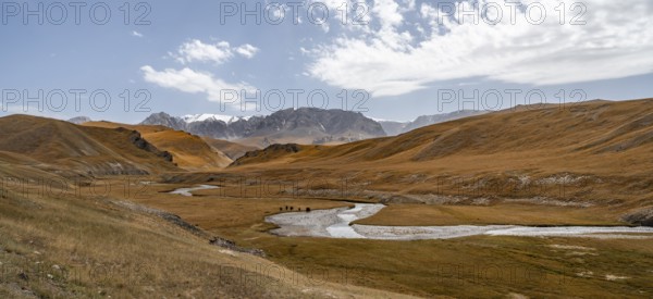 River Kol Suu winds through a mountain valley with hills of yellow grass, Naryn Province, Kyrgyzstan, Asia