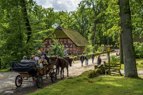 The village of Wilseder, old farms, in the Lüneburg Heath nature reserve, Lower Saxony, Germany, Europe