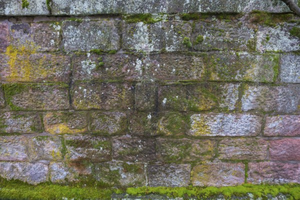 Natural stone wall with mosses and lichens, Rhineland-Palatinate, Germany, Europe