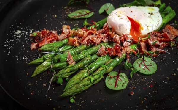 Asparagus with poached egg and fried bacon, micro greens and spices, breakfast, homemade, no people