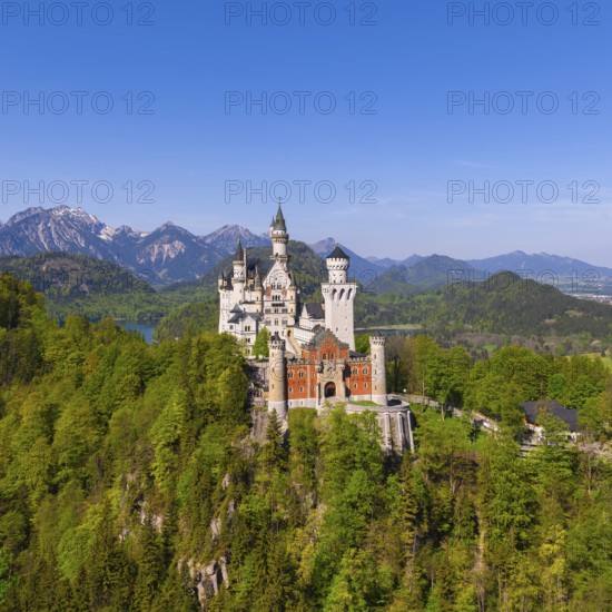 Neuschwanstein Castle is majestically enthroned on a wooded hill with a picturesque mountain backdrop, Schwangau, Ostallgäu, Allgäu, Swabia, Upper Bavaria, Bavaria, Germany, Europe