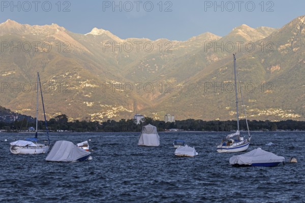 Boats lying in the water, Locarno, Lake Maggiore, surrounding mountains in the evening light, Canton Ticino, Switzerland, Europe