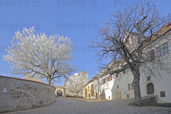 Inner courtyard of the medieval Hellenstein Castle in winter with hoarfrost and snow, Museum, Heidenheim an der Brenz, Swabian Alb, Baden-Württemberg, Germany, Europe