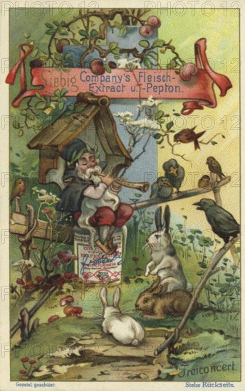 Picture series In the world of dwarves, free concert, dwarf plays the flute for the animals, Liebig picture, digitally restored reproduction of a collector's picture from around 1900, public domain, exact date unknown, A dwarf plays the flute in the forest, surrounded by rabbits and birds at a wooden house