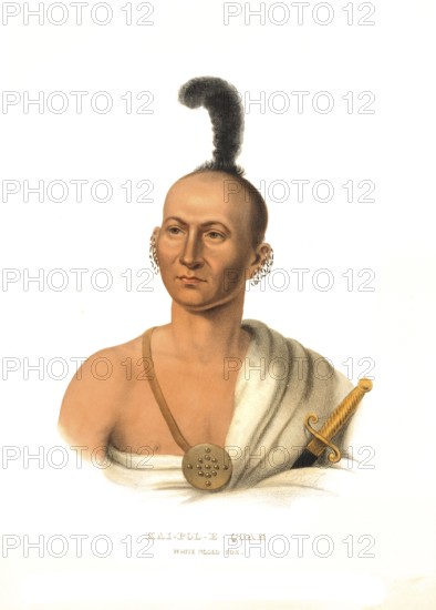 American Indian, Native American, Kai-Pol-E-Quah, a chief of the White Nosed Fox, United States of America, USA, Painting by Charles Bird King (1785, 1862), c. 1840, Historic, digitally restored reproduction from a 19th century original, Record date not stated, North America