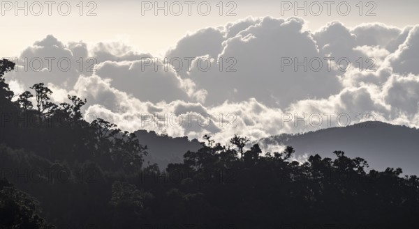 Clouds over cloud forest, mountain rainforest, Parque Nacional Los Quetzales, Costa Rica, Central America