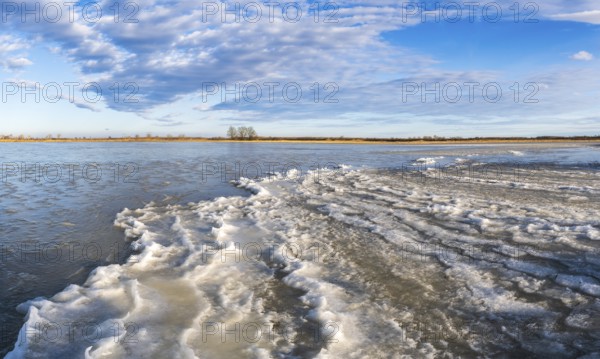 Landscape with frozen meadow, Hansag, Neusiedler See-Seewinkel National Park, Burgenland, Austria, Europe