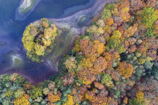 Mixed forest in autumn, colouring, aerial view, forest, autumnal, Ahlhorn fish ponds, Niedersächsische Landesforst, Ahlhorn, Lower Saxony, Germany, Europe